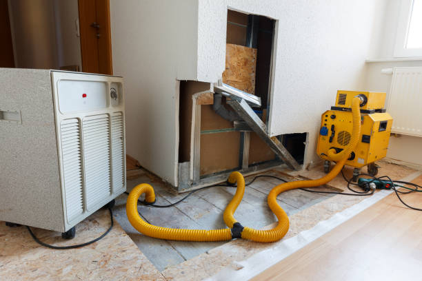 Best Water Damage & Mold Remediation  in Springfield, MA